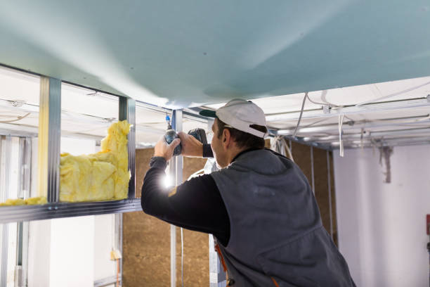 Best Residential Insulation in Pingree Grove, IL