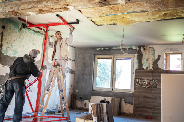 Best Commercial Insulation in Pingree Grove, IL