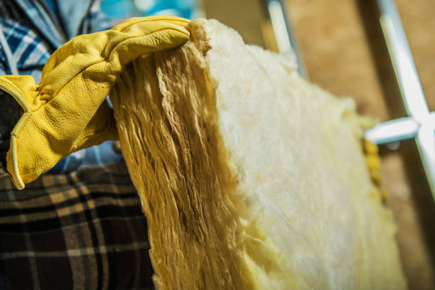 Best DIY Insulation Kits and Guidance in Pingree Grove, IL