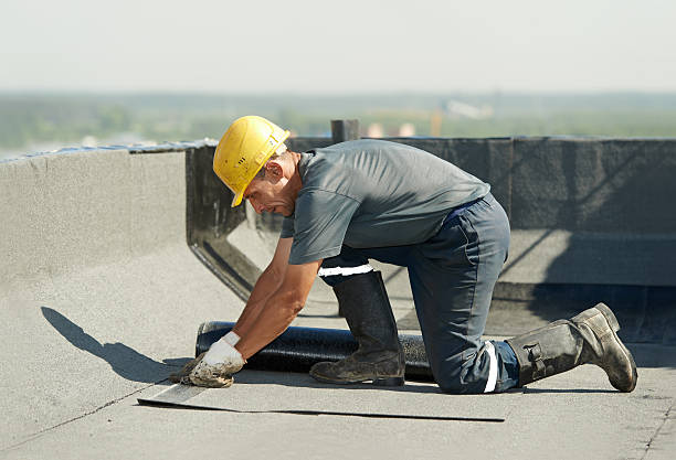 Best Eco-Friendly Insulation in Pingree Grove, IL