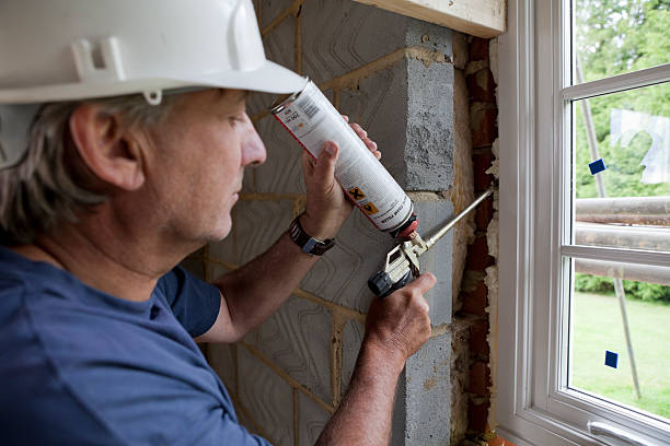 Best Cellulose Insulation in Pingree Grove, IL