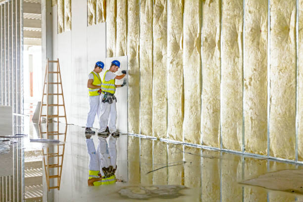 Trusted Pingree Grove, IL Insulation Contractor Experts